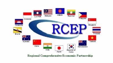 RCEP ülkeleri çok büyük ticari amaçla kurulmuş bir organizasyon