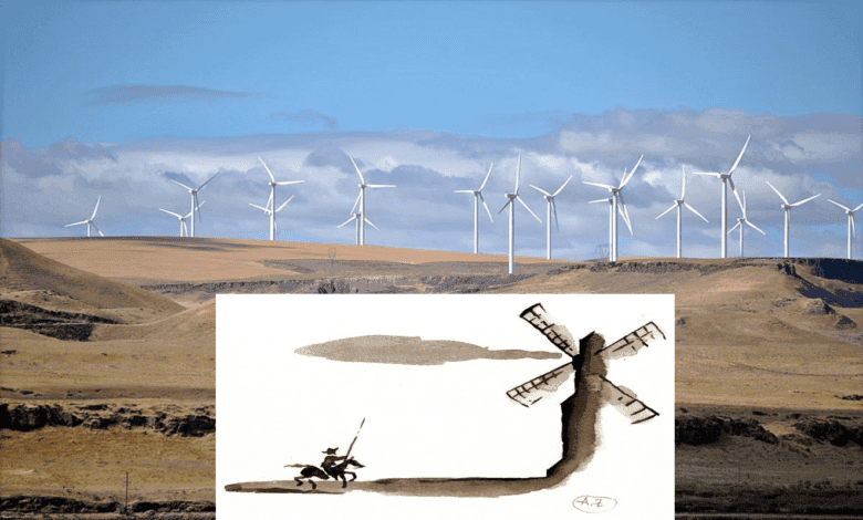 Don kişot bu gün olsa ne yapardı