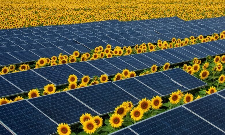 Yenilenebilir Enerji yatırımları Türkiye için önem arz ediyor