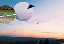 SKYDAGGER TOYCA 05 Türkiye’nin Yeni Sürü Kamikazesi