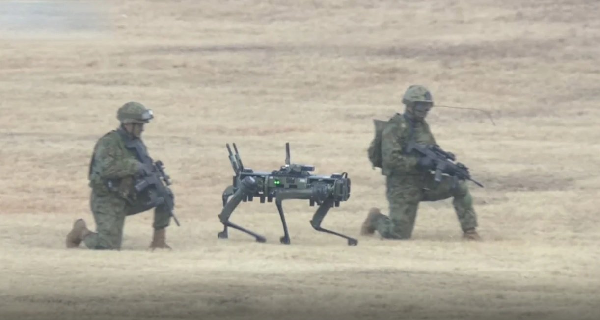 japonya indirme köpeği