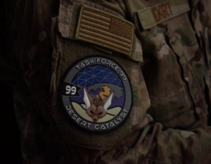Task Force 99 Amblem